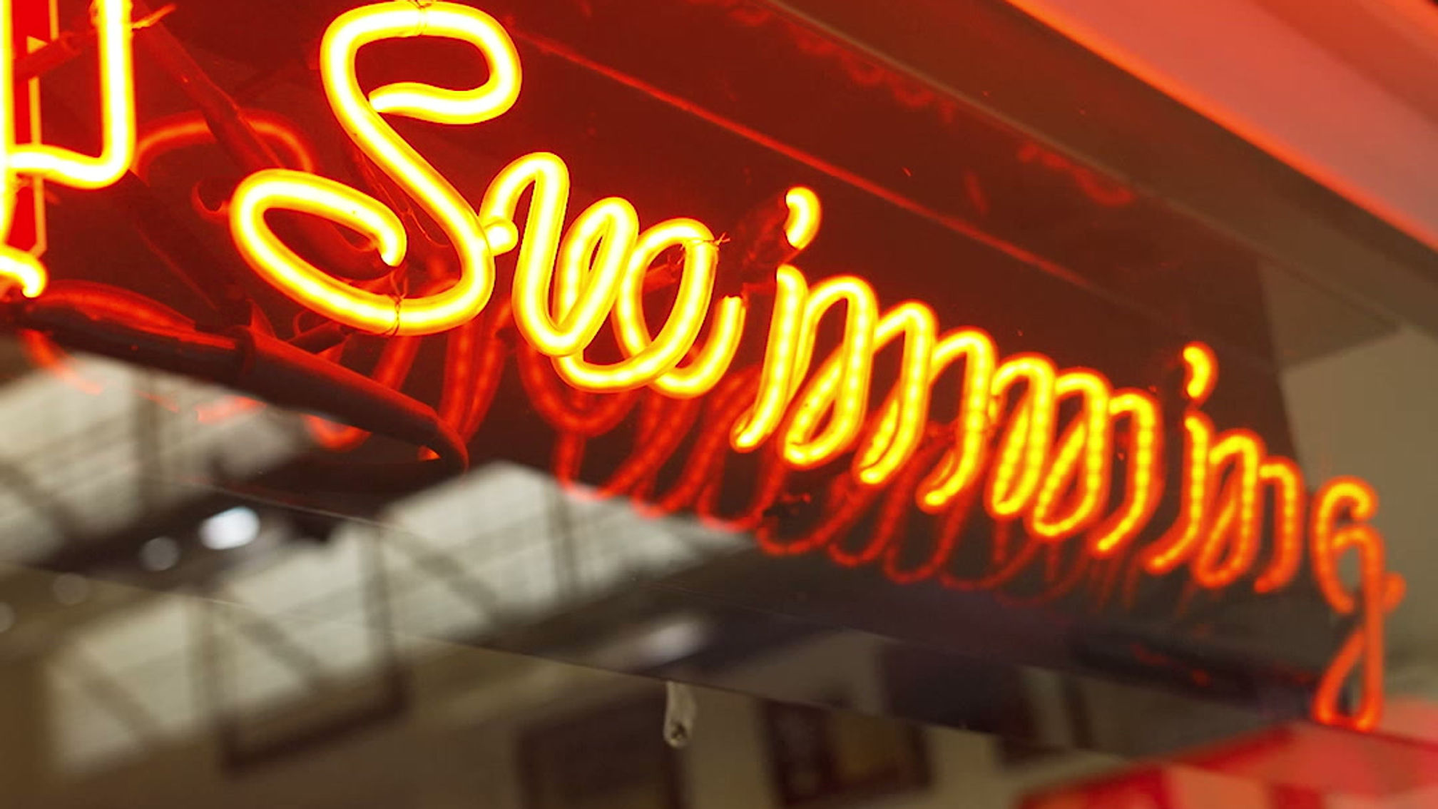 Indiana Swim & Dive "Cream & Crimson Scrimmage Recap"